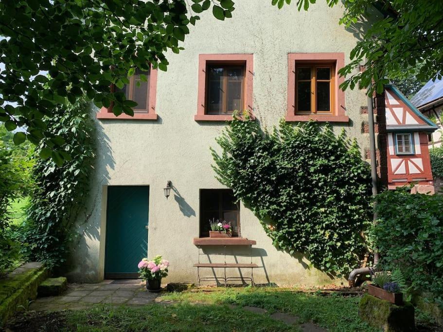 Ferienwohnung In Historischer Muehle 布亨 外观 照片