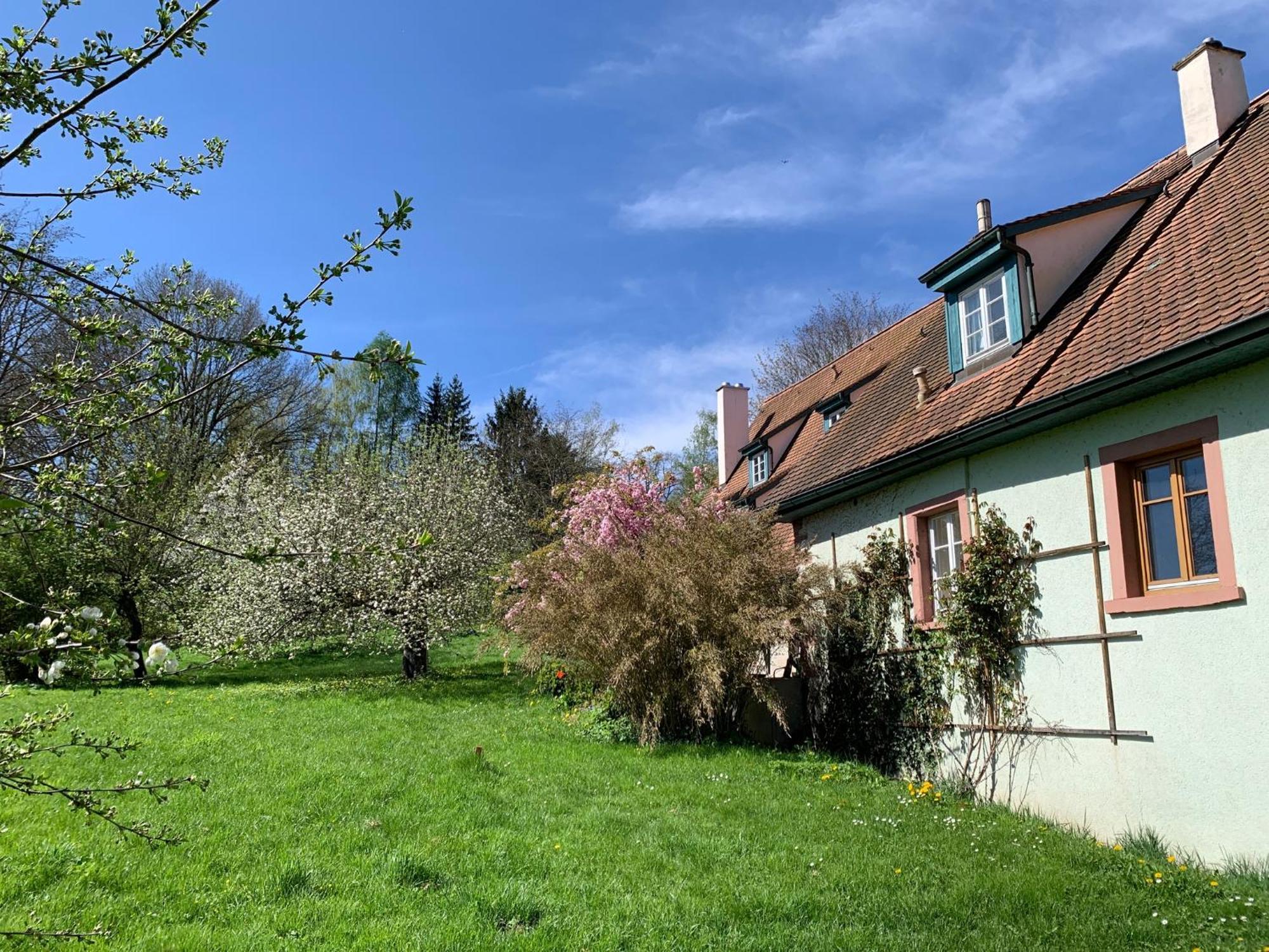 Ferienwohnung In Historischer Muehle 布亨 外观 照片